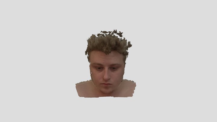 FaceTest 3D Model