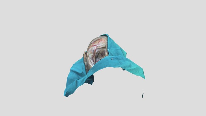 Model 4 3D Model