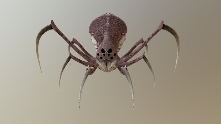 Spider 3D Model