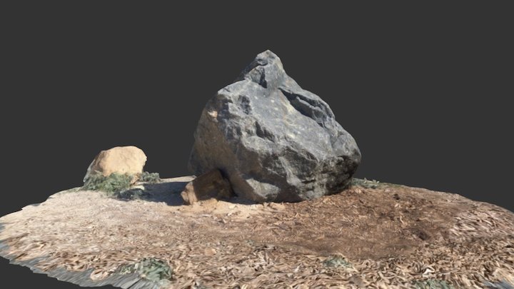 Ag_GreyRock_001  RapidCapture Test 3D Model