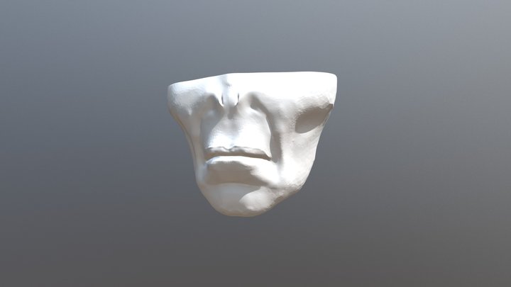 Nose and Mouth 3D Model