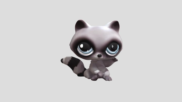 Raccoon gray