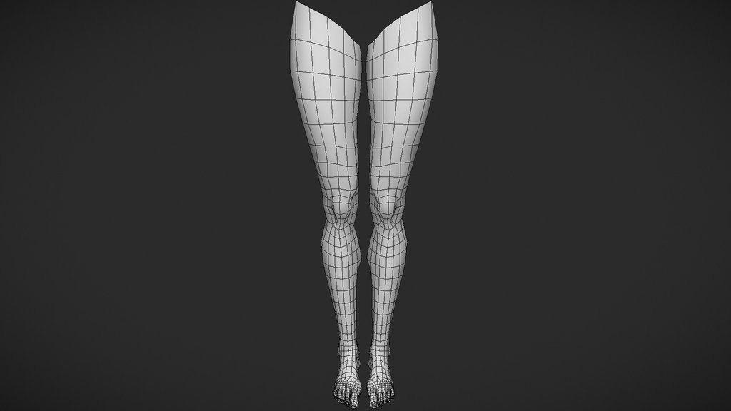 Female Legs 3d Model Good Topology