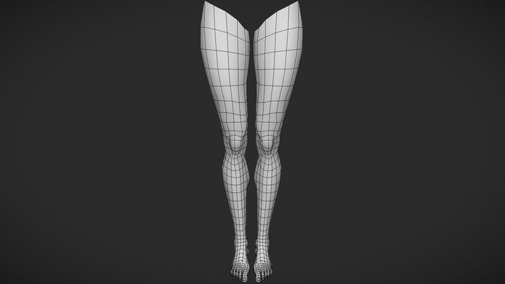 Female Legs 3d Model Good Topology 3D Model