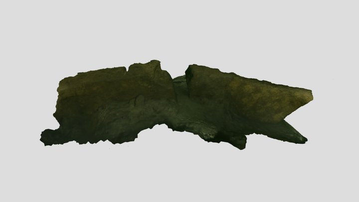 OVM 123 3D Model