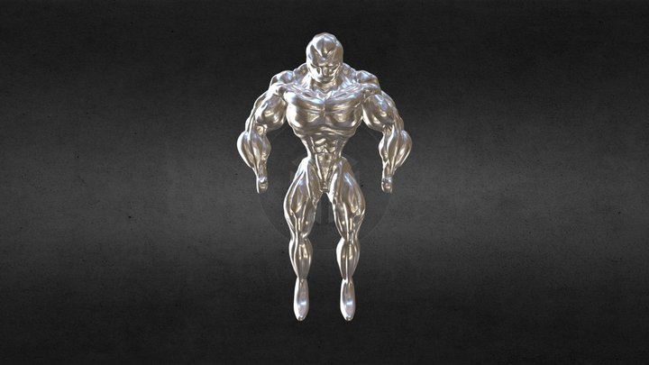 High Poly muscle anatomy 3D Model