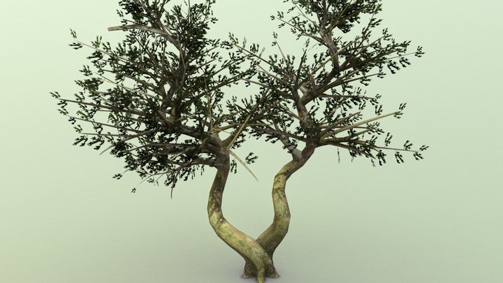 Tree3 3D Model