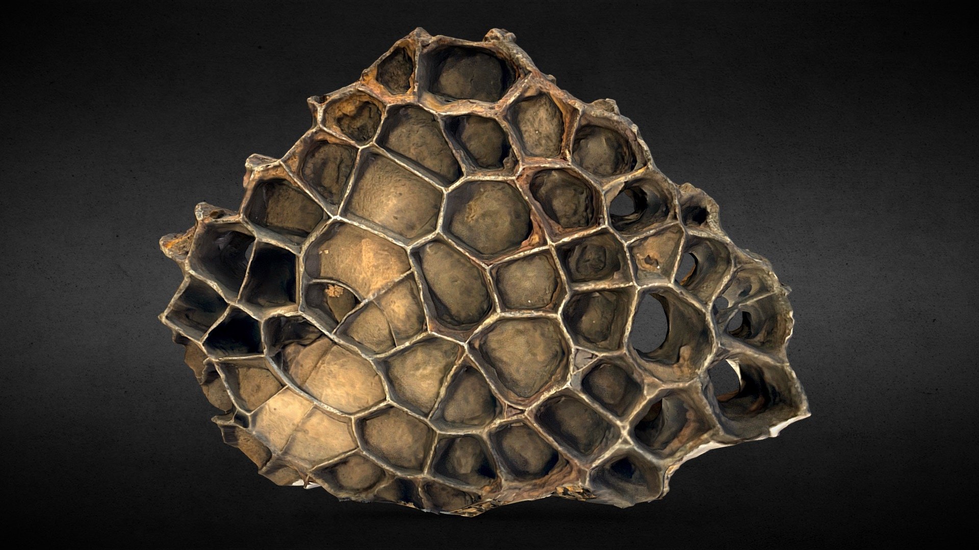 Quartz Download Free 3D model by The Watt Institution
