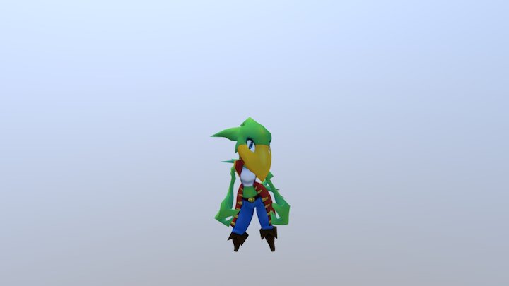 Pirate Parrot 3D Model
