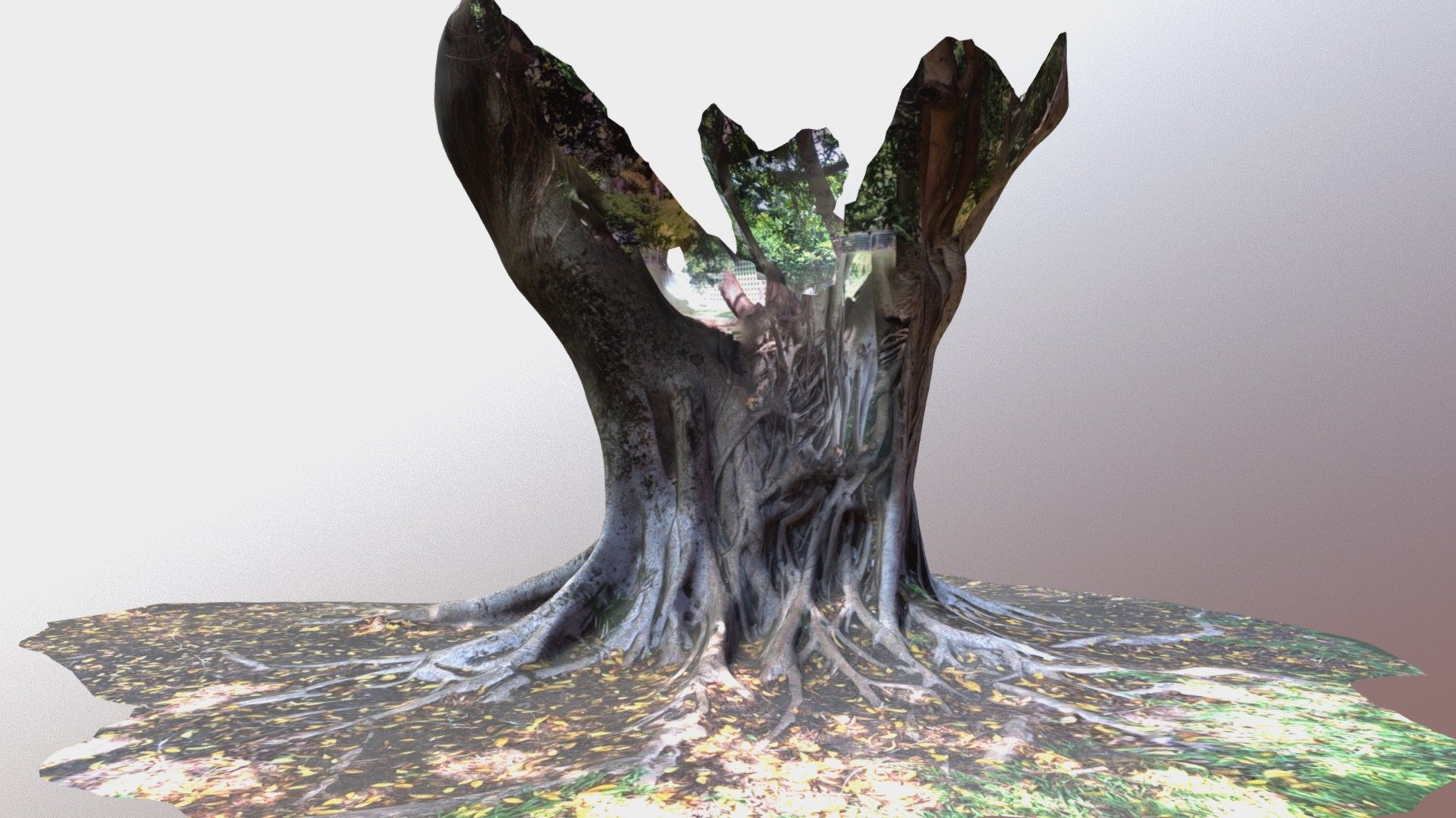 Tree 1
