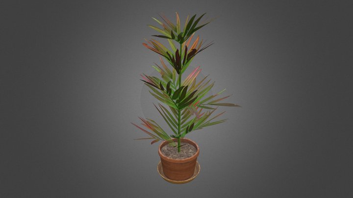 Pot_Flower_261120 3D Model