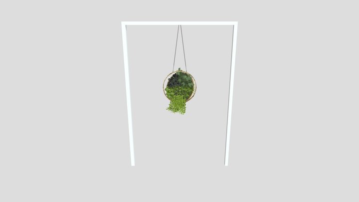 Plant Box