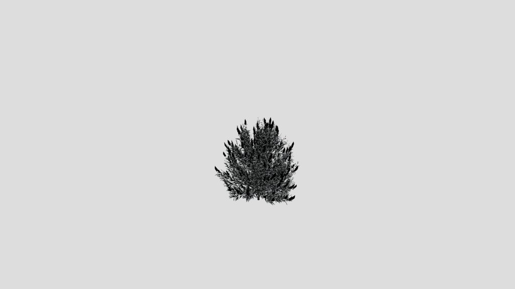 Shurb Spirea Care Blue Mist Animated