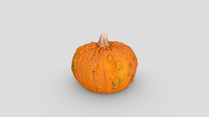Pumpkin