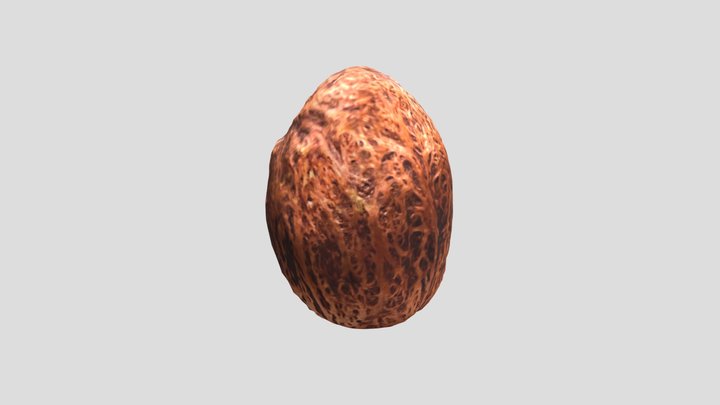 Nutmeg 3D Model