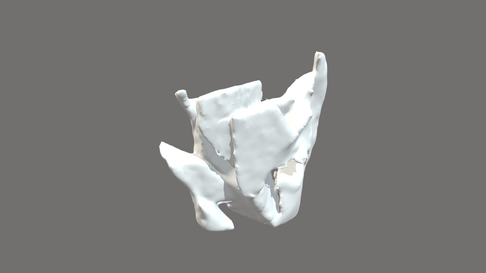 Wood Scan Iteration01