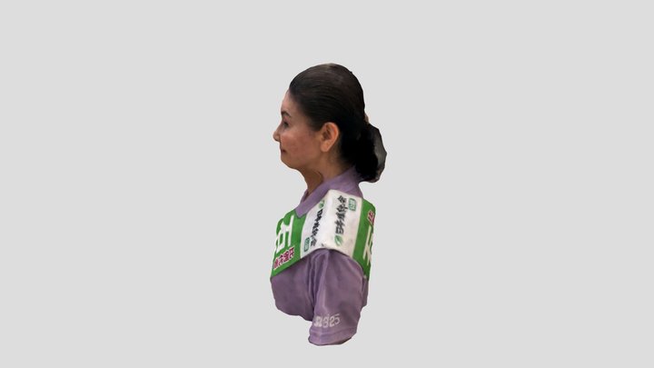 石井苗子 3D Model