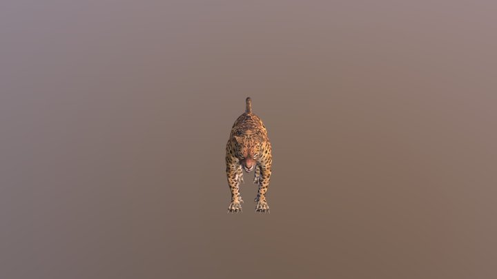 Leopard Main 3D Model