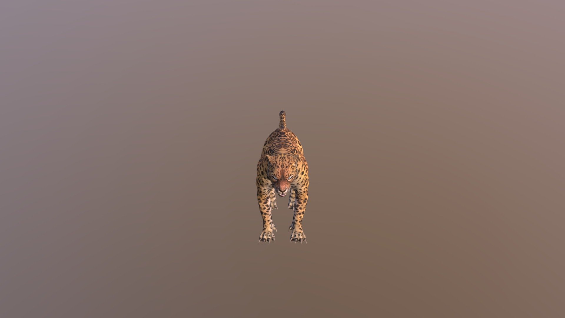 Leopard Main