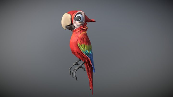 Stylized parrot 3D Model
