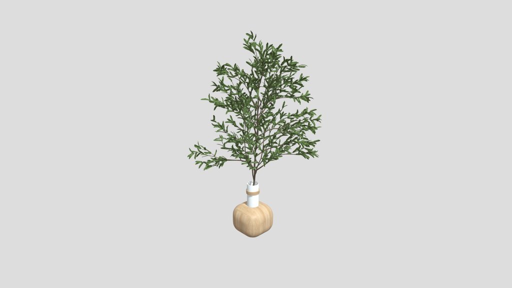 Plant