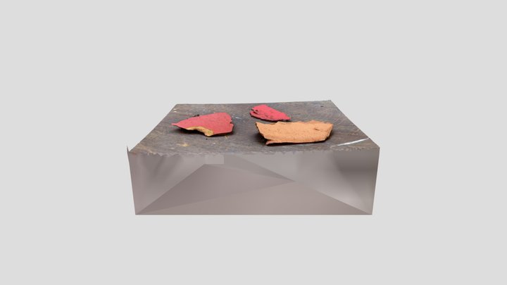 Scan 2023-05-12T14:44:59.896Z 3D Model