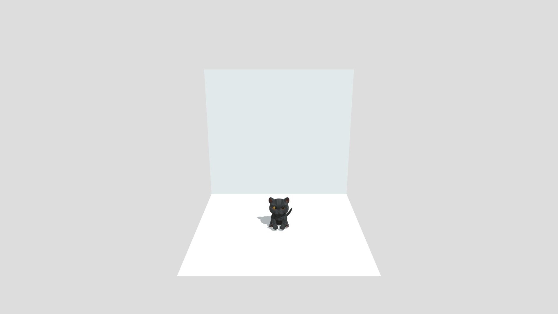Black Kitten model
