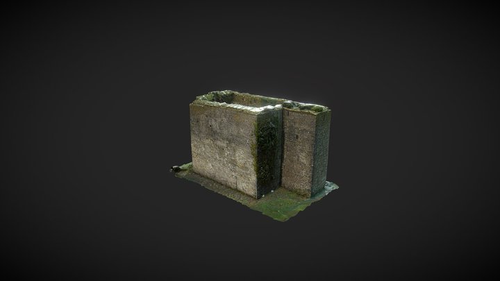 Woodstock Castle, Athy 3D Model