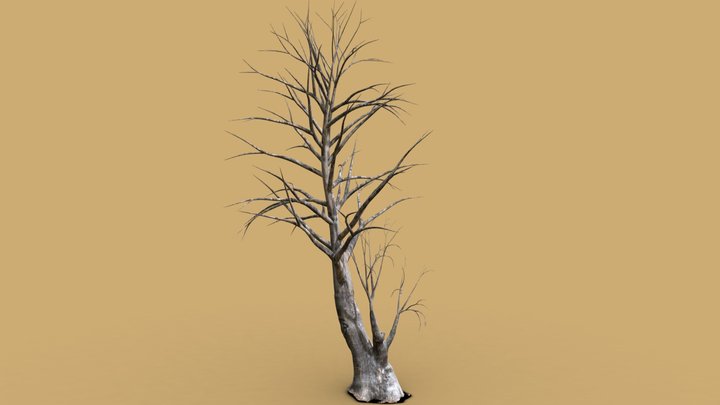 HIGH QUALITY TREE 5/6 – Modelo 3D gratuito STL