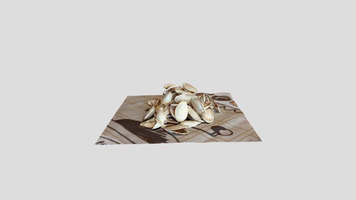 Pumpkin seed shells 3D Model