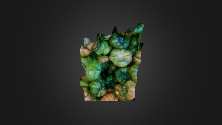Lens Blur model 3D Model