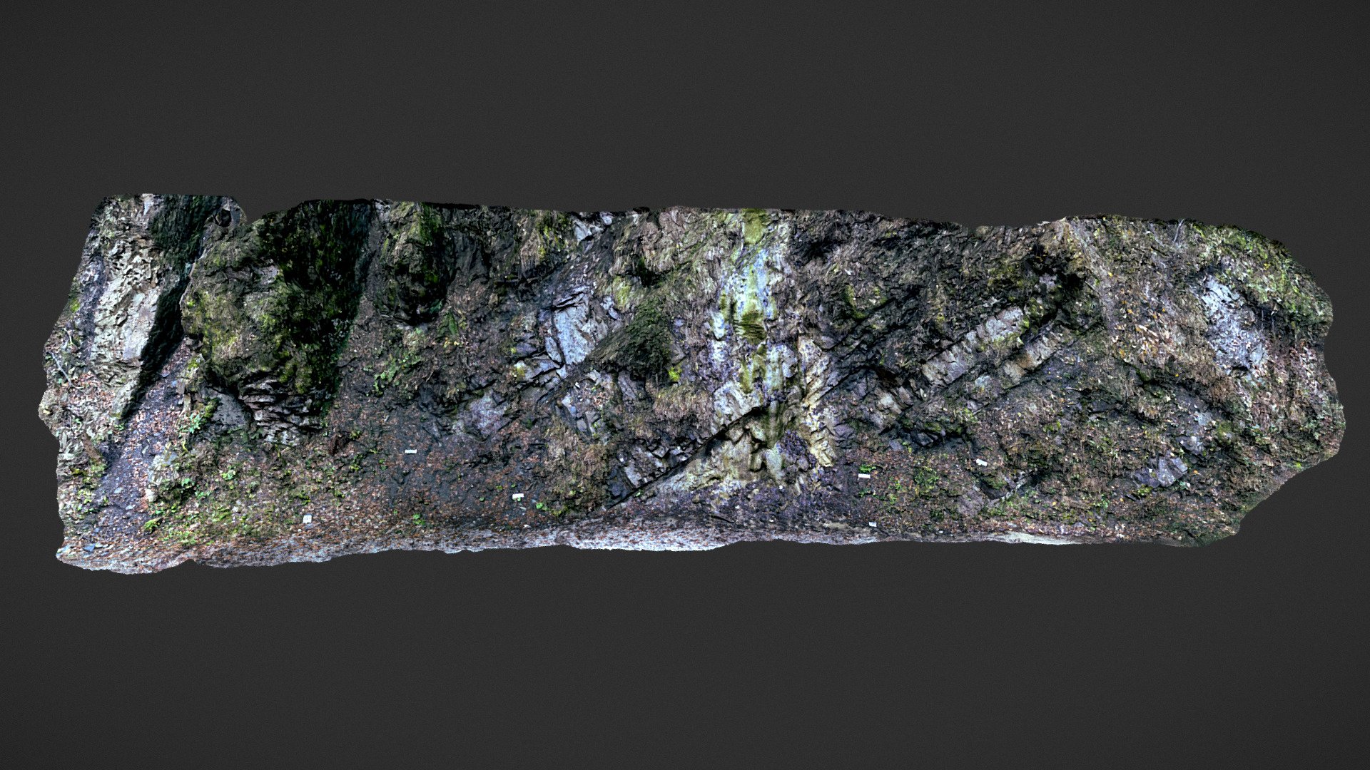 Flysch Gault Turbidite, Southern Germany
