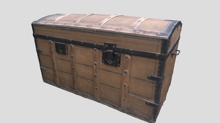Trunk 3D Scan 3D Model