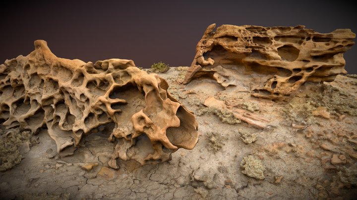Miller's Cows (Heavily Eroded Sandstone) 3D Model