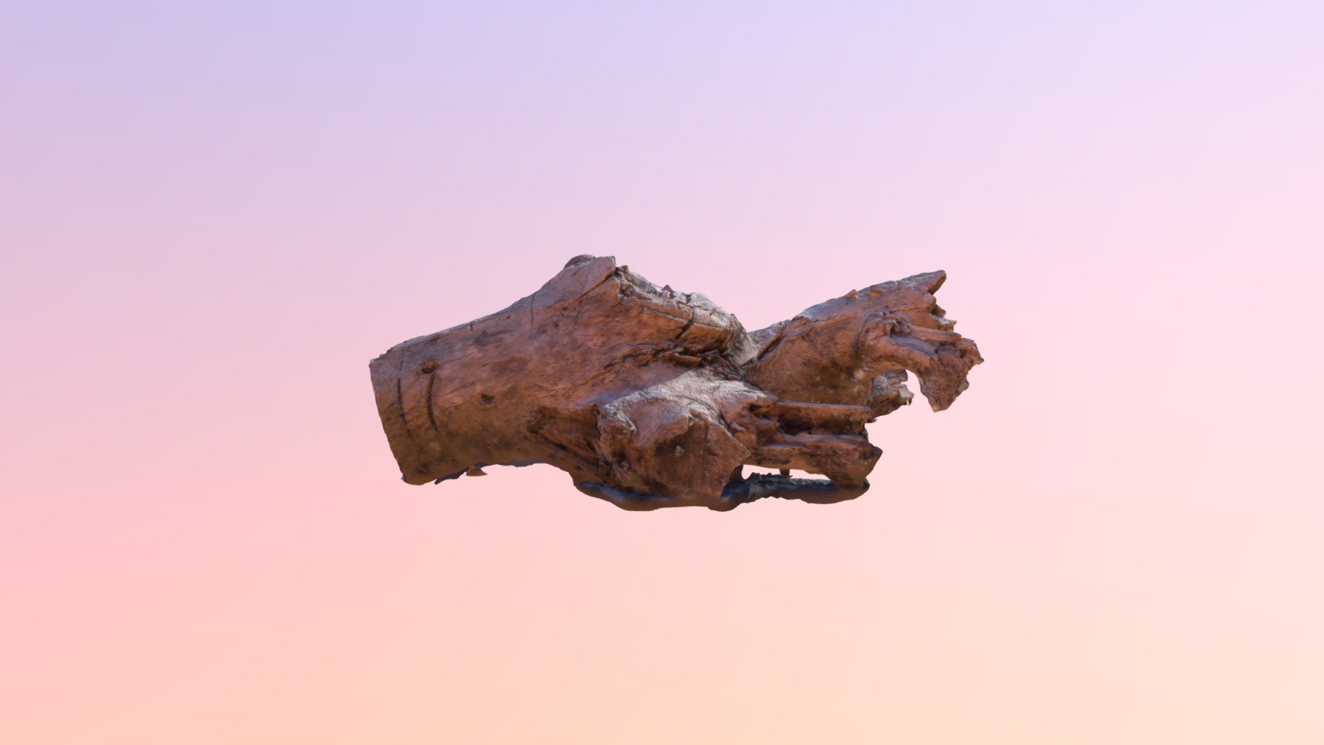 Tree Log — Sketchfab embed 3D viewer