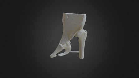 13345 3D Model