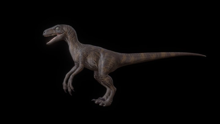 Velociraptor mongoliensis 3D Model