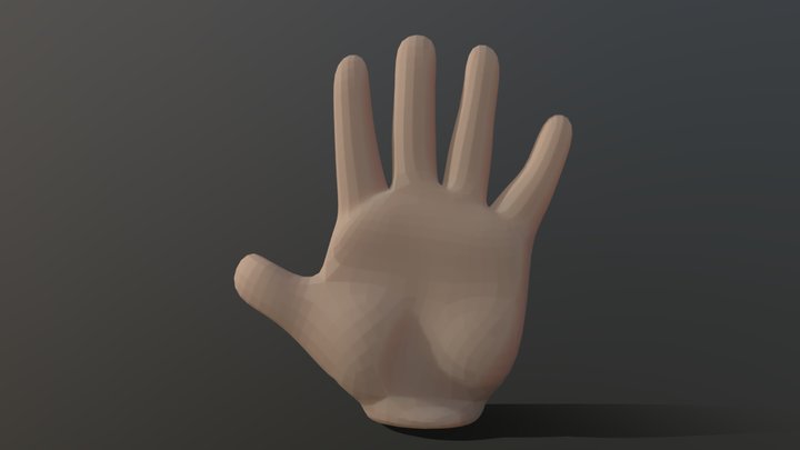 hand 3D Model