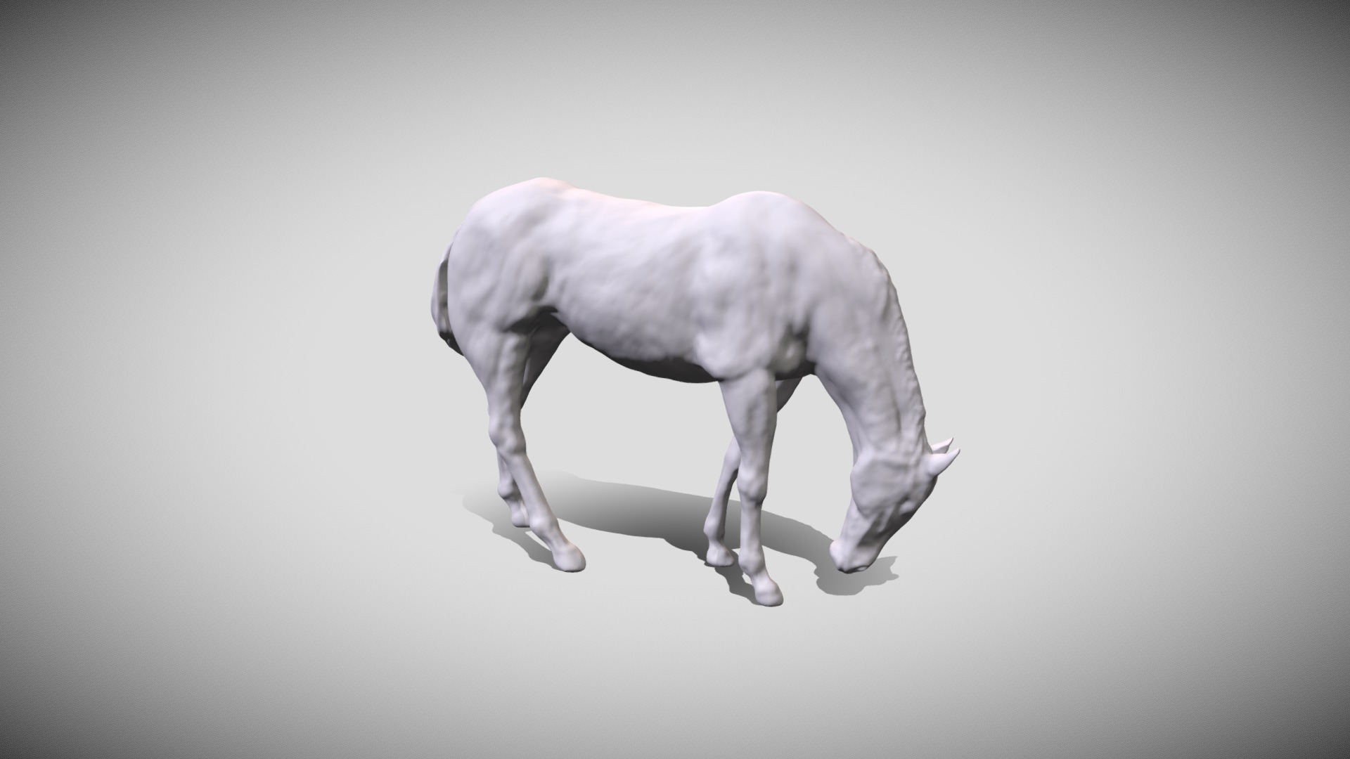 3D model Horse Feeding - This is a 3D model of the Horse Feeding. The 3D model is about a white cow with a long tail.