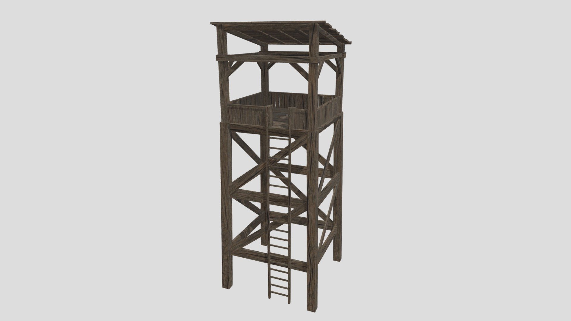 scaffold
