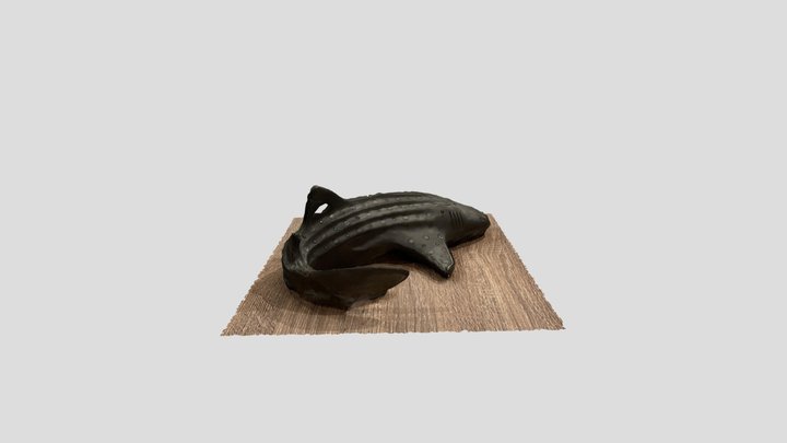 Wale Model - Photogrammetry 3D Model