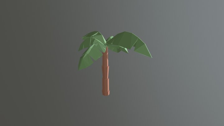Coconut tree 3D Model