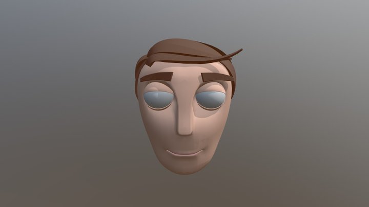 Head Examp 3D Model