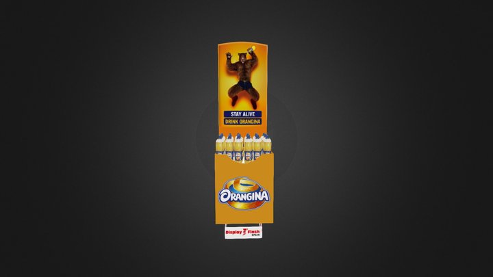 Bin Flash 3D Model