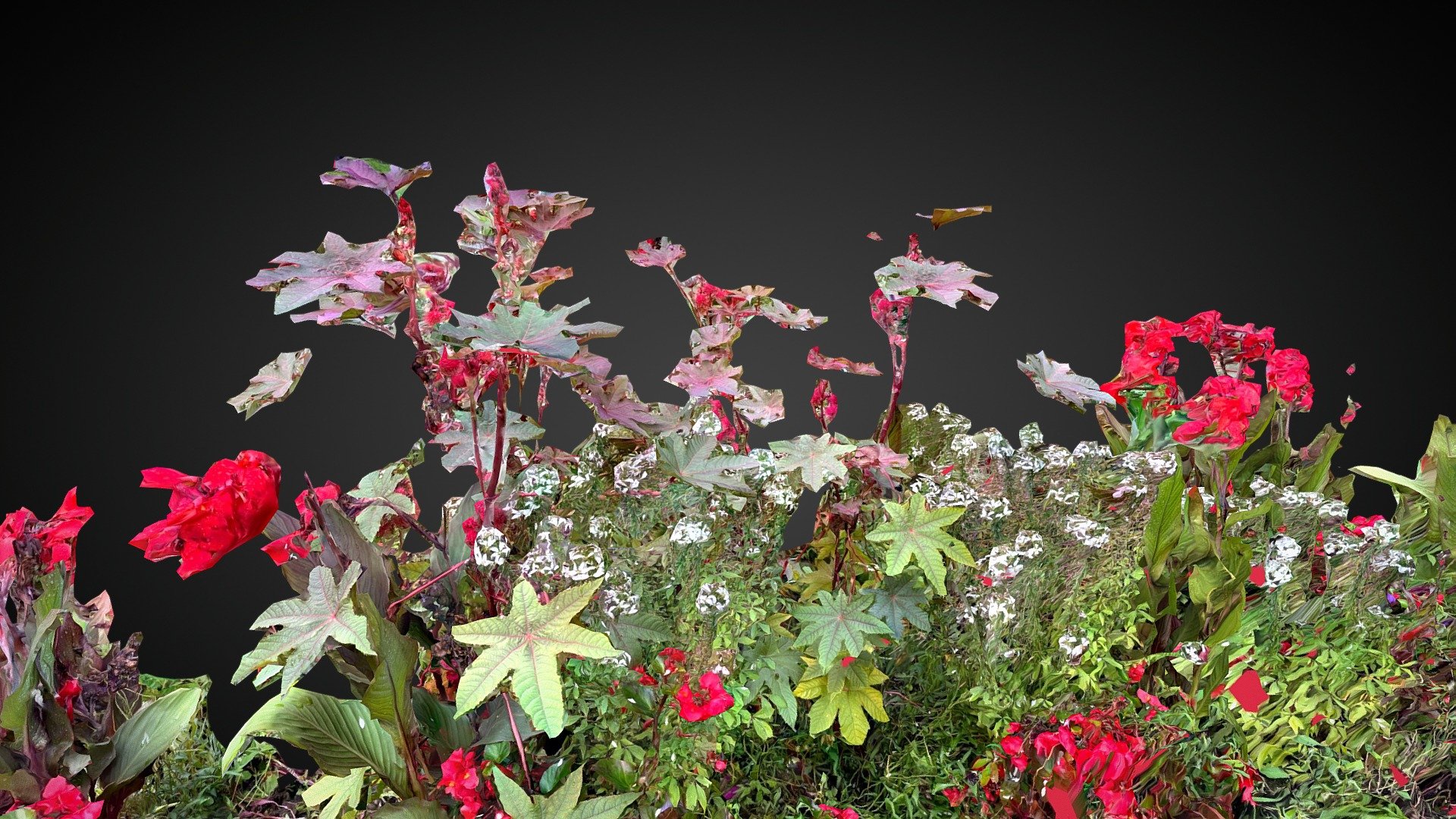 Flowerbed - iPhone 3d scan