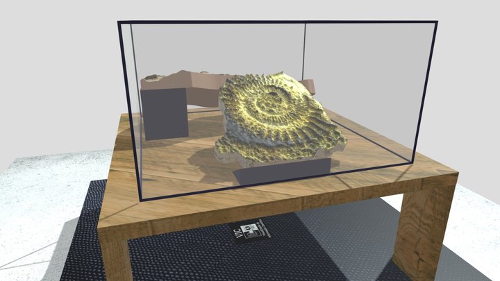 Fósseis em exposição 3D Model
