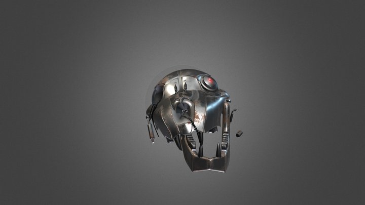 Asset_Skull 3D Model