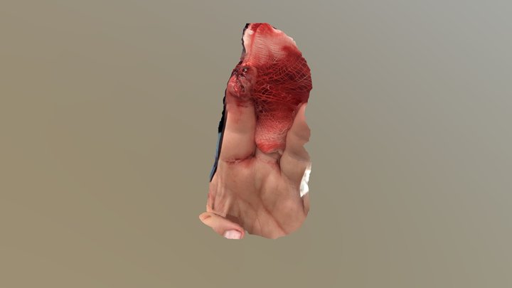 Ashley’s gross finger 3D Model