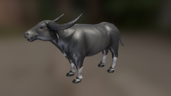 Buffalo 3D Model