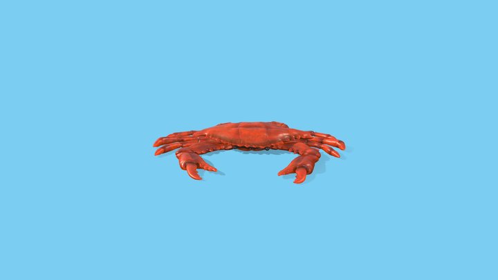 Crab_FBX 3D Model